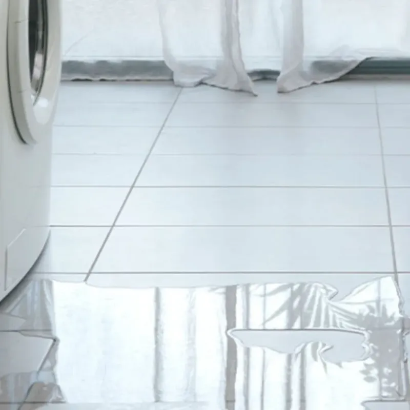 Appliance Leak Cleanup in Port Barrington, IL