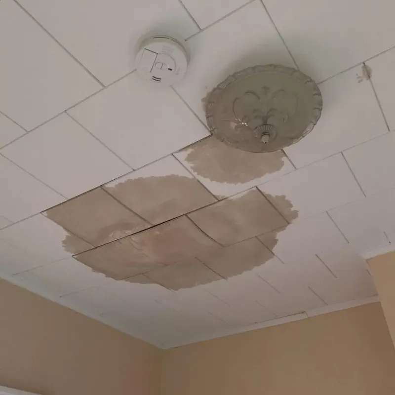 Ceiling Water Damage Repair in Port Barrington, IL