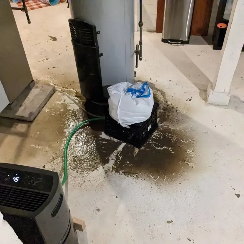 Sewage Backup Cleanup Service in Port Barrington, IL